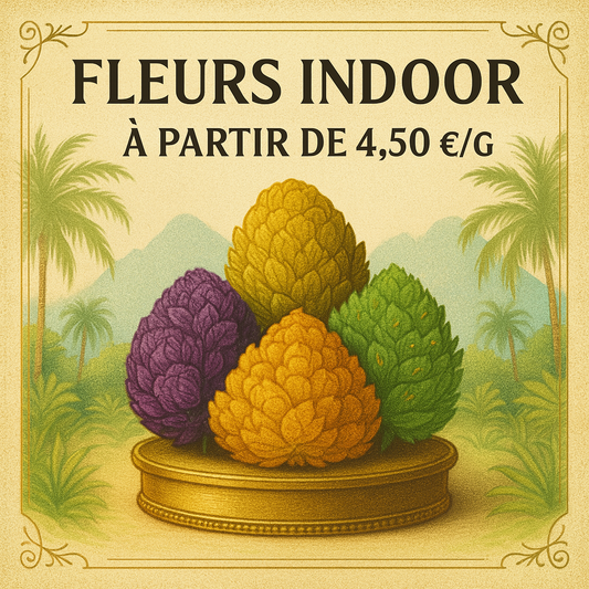 SOLDES 2025 |  Fleur INDOOR à partir de 4€50 le G