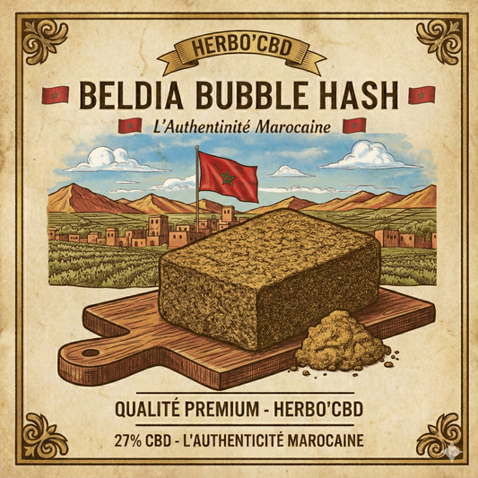 Beldia Bubble Hash | Résine CBD Maroc Authentique 🇲🇦