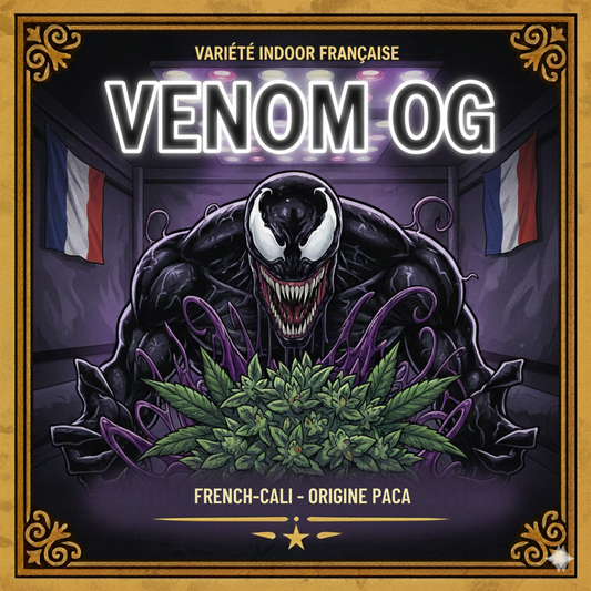 Venom OG | Fleur CBD Indoor Française 🔥