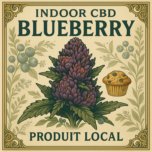 Fleur CBD | Blueberry Muffin | Indoor