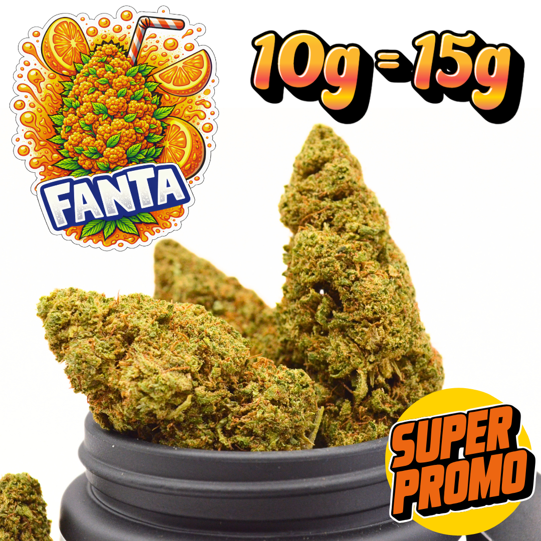 🍊 FANTA | 🇺🇸 Fleur CBD Indoor US — PROMO : Jusqu'à 75% de quantité OFFERTE