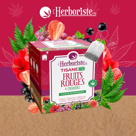 Infusion CBD en Sachet <br> Fruit Rouge x10