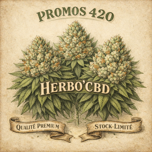 🌱 PROMOS 420 🌿 FLEURS CLASSIQUES à partir de 3,99€/g