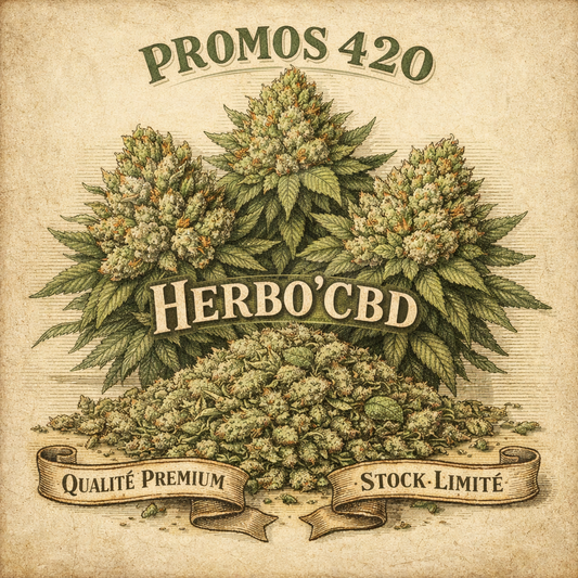🌱 PROMOS 420 🌿 FLEURS ET TRIM PREMIUM à partir de 2,00€/g