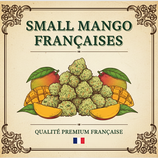 Small Buds CBD | MANGO FR