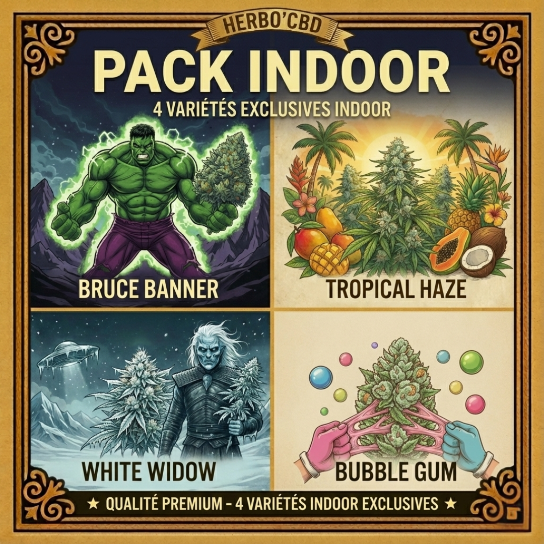 Pack Nouveauté Indoor 🔥