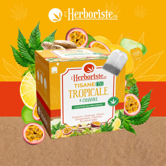 Infusion CBD en Sachet <br> Tropical x10 🍍