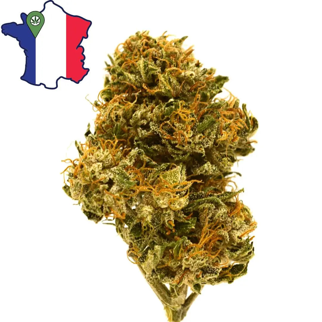 Fleur Super CBG - Herbo'CBD 🍀