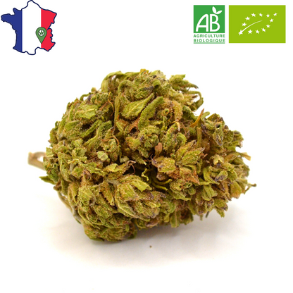 Fleur CBD La Kush Passion BIO Française - HerboCBD 🍀
